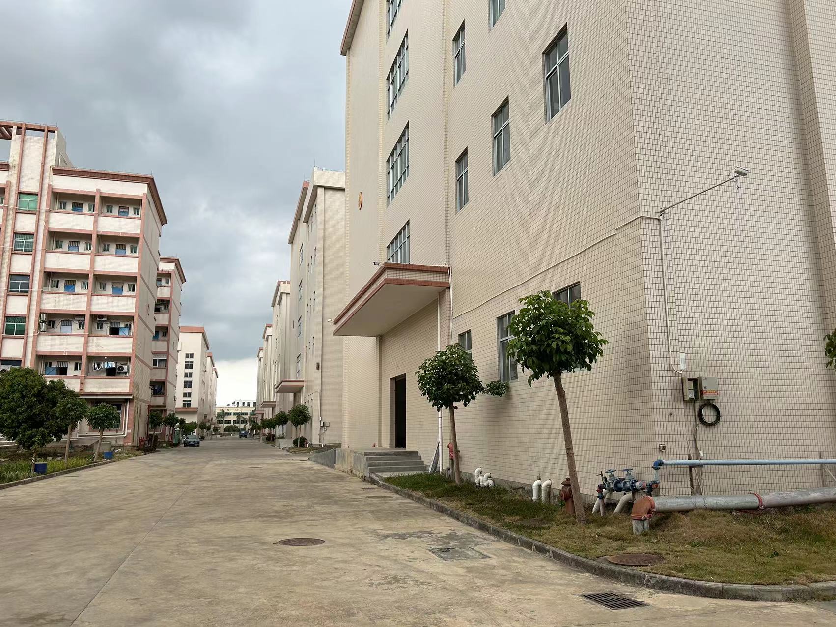 549d6c97e1ad2b2c9e383ac9791393f.jpg 549d6c97e1ad2b2c9e383ac9791393f.jpg